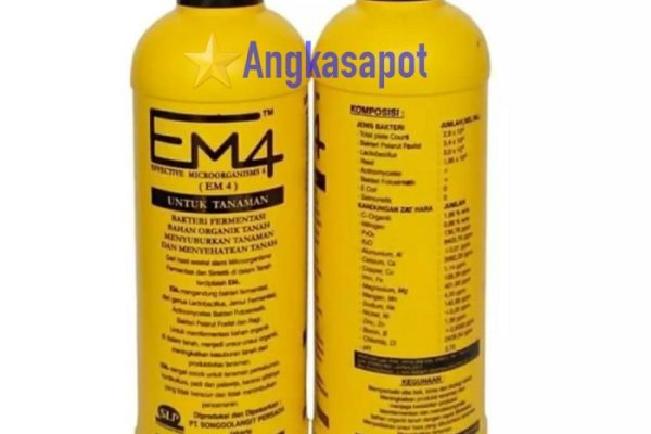 Em4 peternakan ayam di Lubuk Dalam, Siak