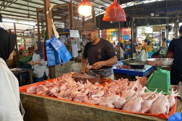 Harga ayam kampung potong di Pasaleman, Cirebon