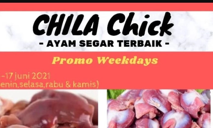 Jual Ternak Ayam Kampung Harga Murah Yogyakarta oleh JOGJA FARM GROUP