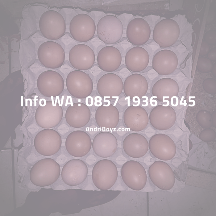 Map City of Aur Birugo Tigo Baleh World Map International vector ... Map City of Aur Birugo Tigo Baleh World Map International vector ...