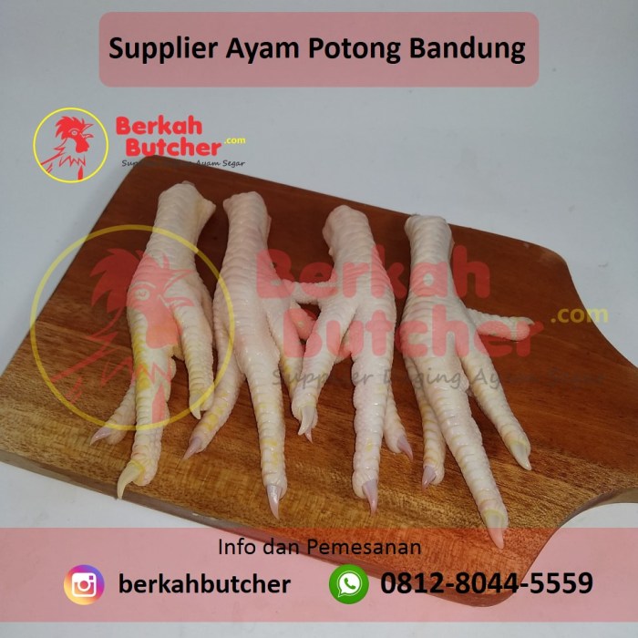 Harga ayam kampung potong di Penawar Tama, Tulang Bawang