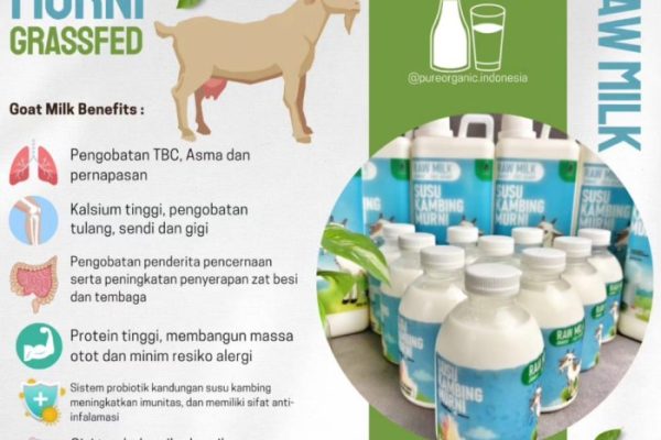 Susu kambing di Pulung, Ponorogo