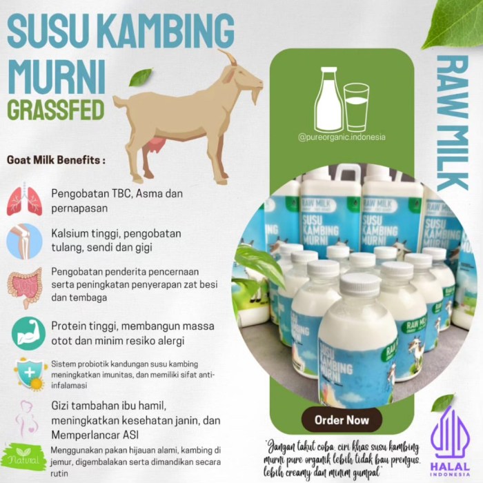 Susu kambing di Ciracap, Sukabumi