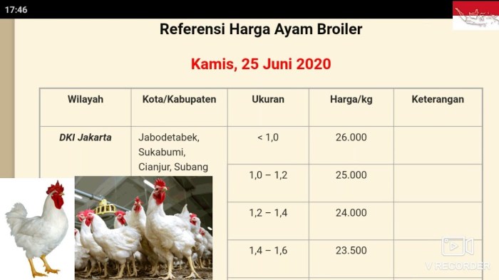 Harga Ayam Potong Hari Ini - arqlero
