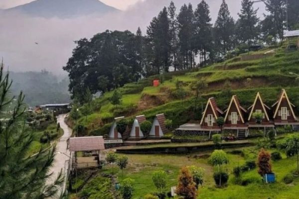 Peternakan ayam kampung di Pulosari, Pemalang