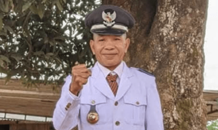 Daun penggemuk ayam di Lamba Leda, Manggarai Timur