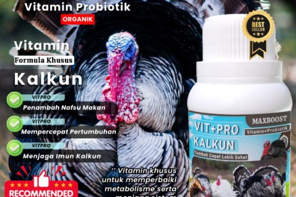 Daun penggemuk ayam di Mekarsari, Barito Kuala