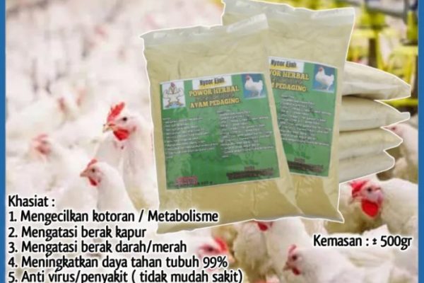 Daun penggemuk ayam di Bajeng, Gowa