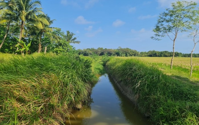 Kementerian PU Rehabilitasi Daerah Irigasi Cibaliung Pandeglang - MONITOR