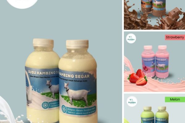 Susu kambing di Semarang Barat, Kota Semarang