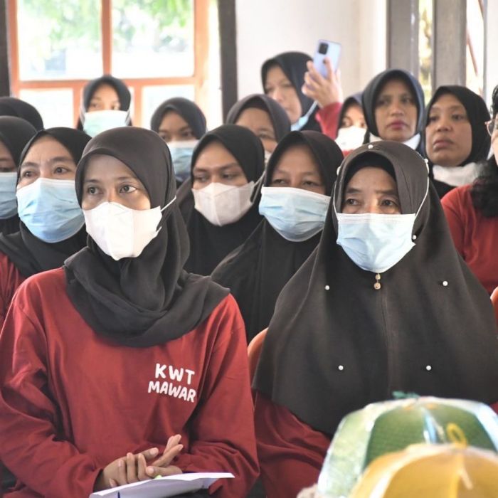 Daun penggemuk ayam di Sukamaju, Luwu Utara