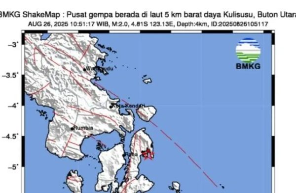Daun penggemuk ayam di Kulisusu, Buton Utara