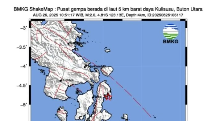 Daun penggemuk ayam di Kulisusu, Buton Utara