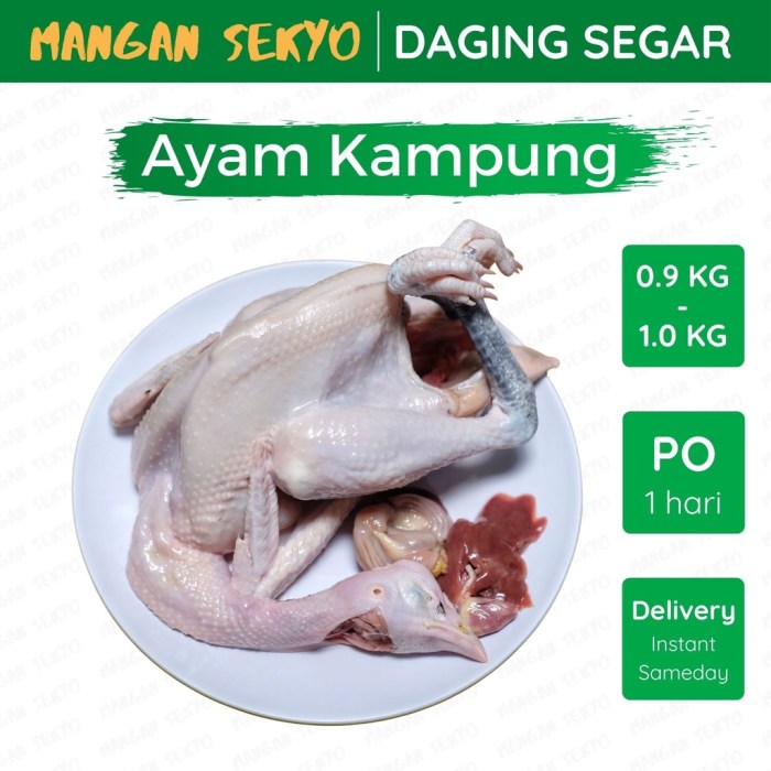 Jual Ayam Kampung Segar / Ayam Kampung Fresh | Shopee Indonesia