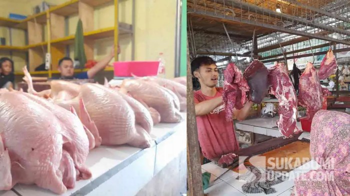 Ayam ternak di Cidolog, Sukabumi