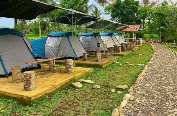 Ayam afkir di Tanjung Siang, Subang