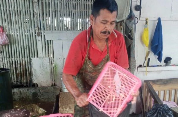 Ayam afkir di Pangandaran, Kab. Pangandaran