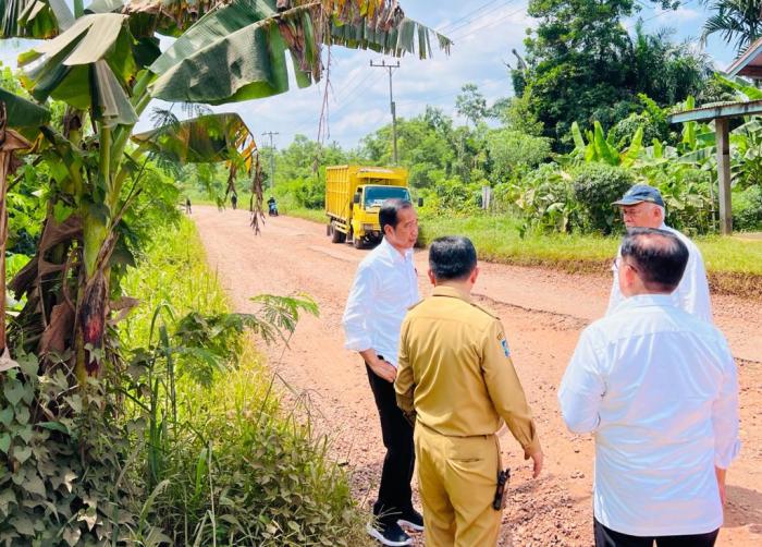 Berikut Potret Jalan Sungai Gelam dengan Mata Pilih Terbanyak di ... Ayam layer di Sungai Gelam, Kabupaten Muaro Jambi