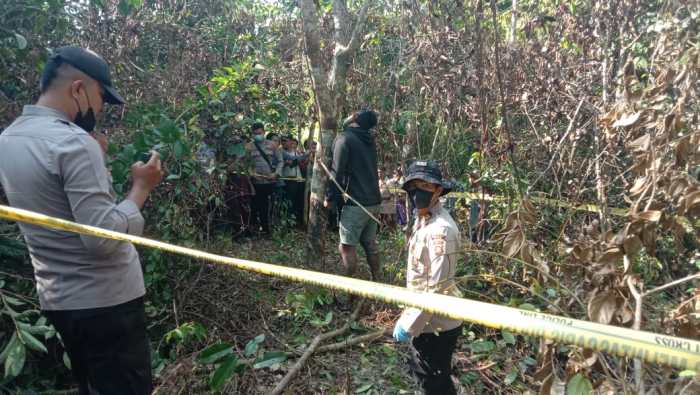 Warga Tanah Sepenggal Lintas, Kabupaten Bungo Dihebohkan dengan ... Warga Tanah Sepenggal Lintas, Kabupaten Bungo Dihebohkan dengan ...