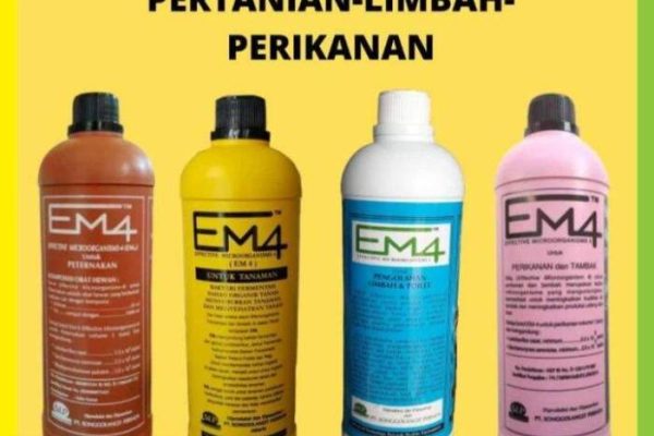 Em4 peternakan ayam di Rakit Kulim, Indragiri Hulu