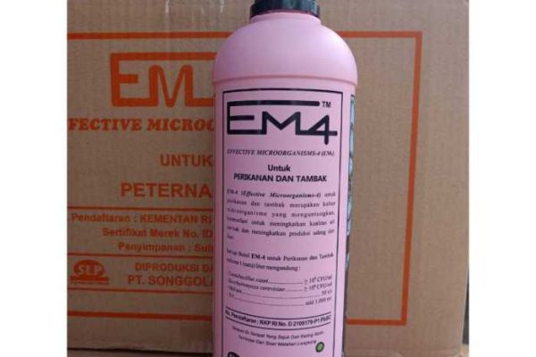 Em4 peternakan ayam di Bukit Kapur, Kota Dumai