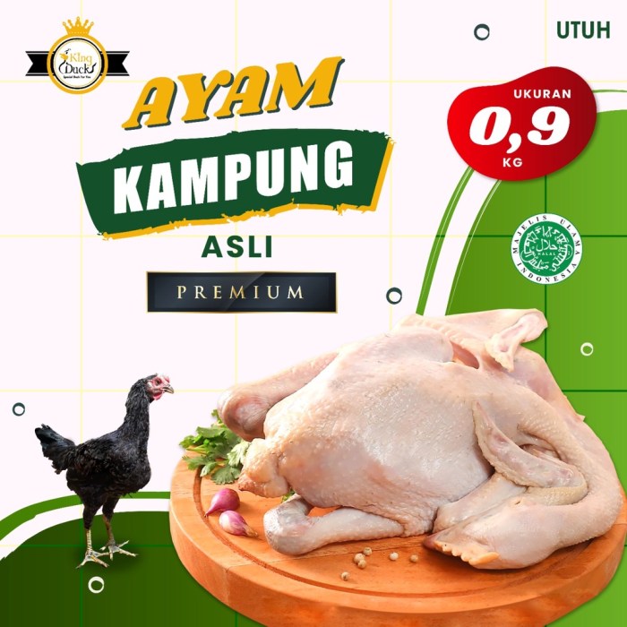 Harga ayam kampung potong di Pagar Dewa, Tulang Bawang Barat