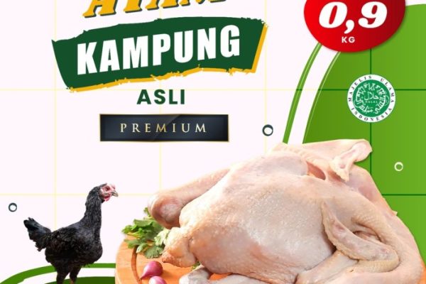 Harga ayam kampung potong di Pubian, Lampung Tengah