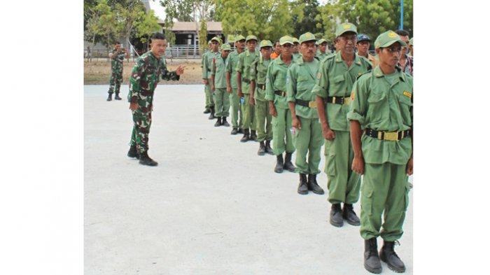 Daun penggemuk ayam di Umalulu, Sumba Timur