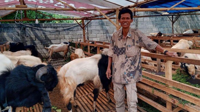 Daging kambing di Lowokwaru, Kota Malang