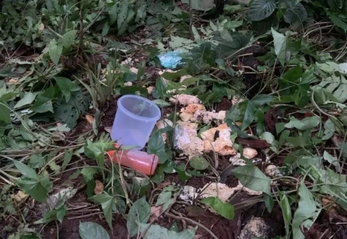 KTNA Kecamatan 2x11 Kayu Tanam Melejit Pasca PENAS KTNA XVI 2023 - TV ... KTNA Kecamatan 2x11 Kayu Tanam Melejit Pasca PENAS KTNA XVI 2023 - TV ...