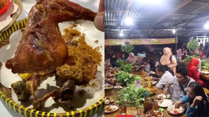 Ayam afkir di Cisarua, Bogor