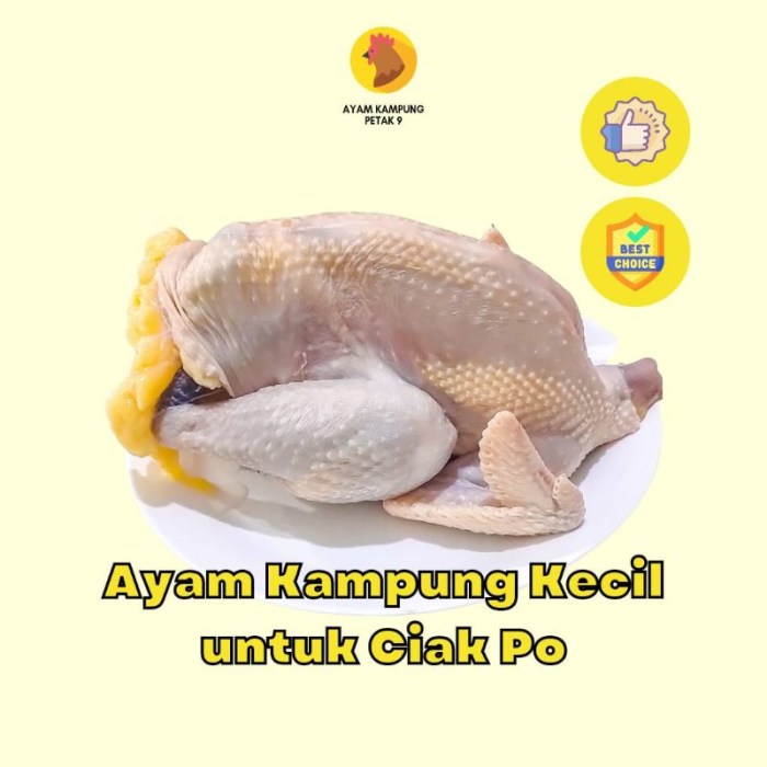Harga Ayam Kampung Potong Asli Terbaru Agustus 2022 |BigGo Indonesia Harga ayam kampung potong di Mangkubumi, Kota Tasikmalaya