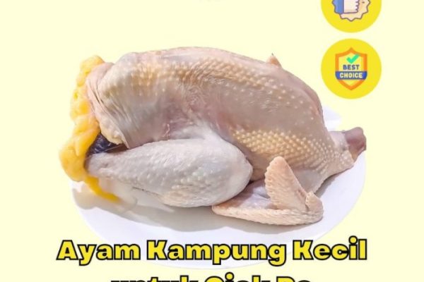 Harga Ayam Kampung Potong Asli Terbaru Agustus 2022 |BigGo Indonesia