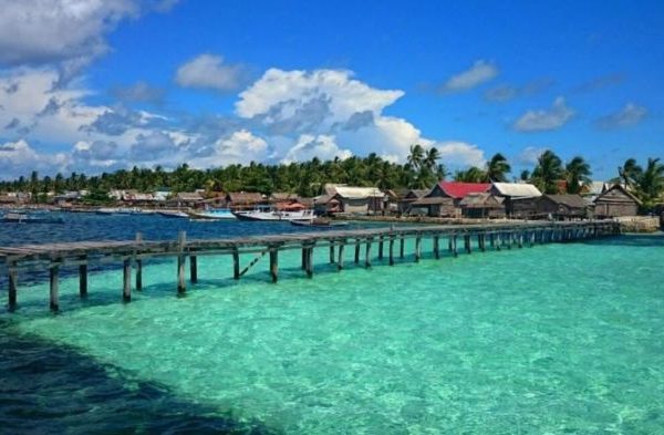 Daun penggemuk ayam di Taka Bonerate, Kepulauan Selayar