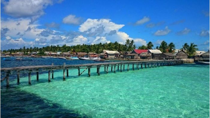 Daun penggemuk ayam di Taka Bonerate, Kepulauan Selayar