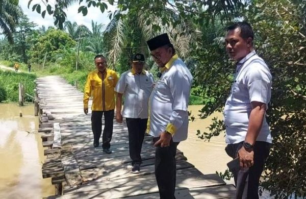 Ayam layer di Sungai Bahar, Kabupaten Muaro Jambi