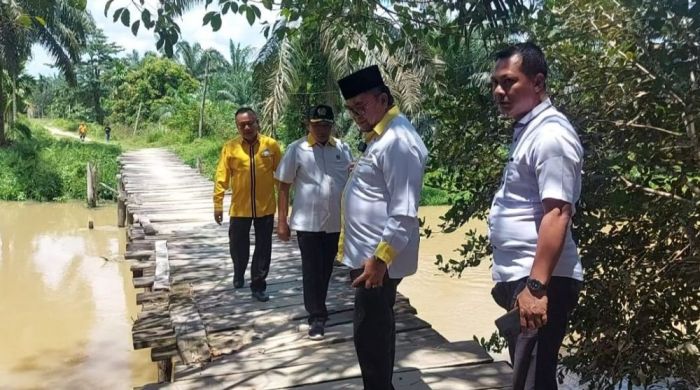 Ayam layer di Sungai Bahar, Kabupaten Muaro Jambi