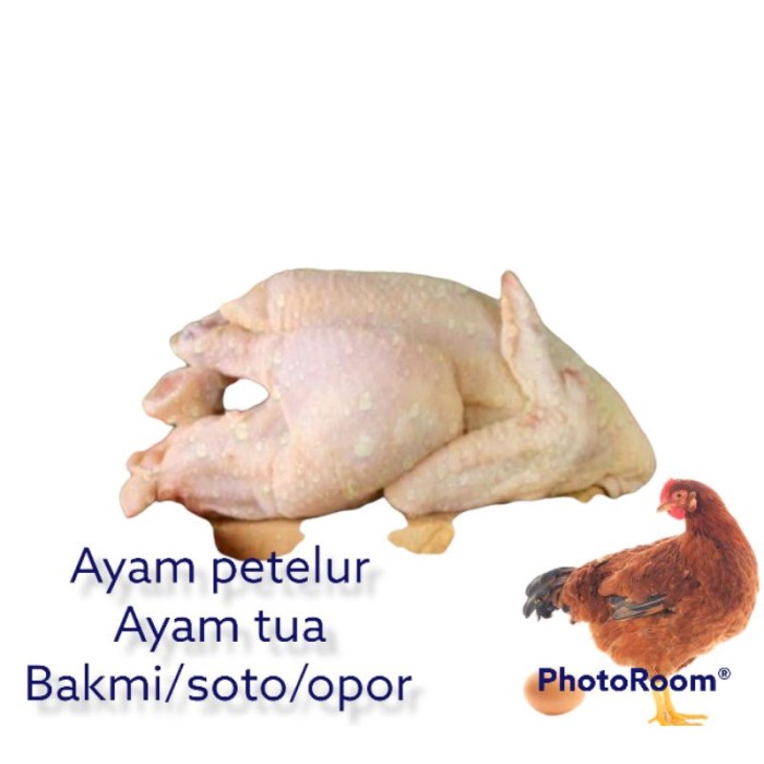 Ayam merah petelur di Purabaya, Sukabumi