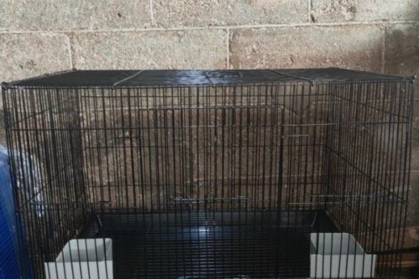 Kandang Besi Lipat JUMBO 60x42x42 Untuk Burung, Kucing, Anjing, Sugar Glider, Hamster, Reptile Kandang Kucing