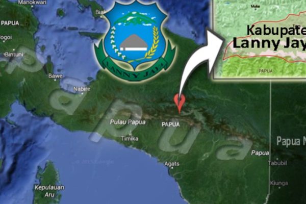 Daun penggemuk ayam di Wiringgambut, Kab. Lanny Jaya