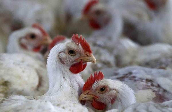 Foto 2050, Sepuluh Juta Kematian Terjadi Akibat Antibiotik