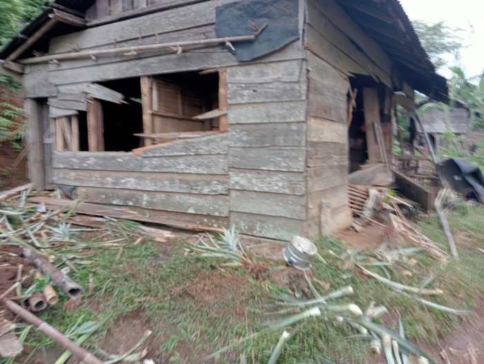 Gajah Mengamuk Tewaskan Warga Bandar Negeri Semuong Tanggamus Gajah Mengamuk Tewaskan Warga Bandar Negeri Semuong Tanggamus