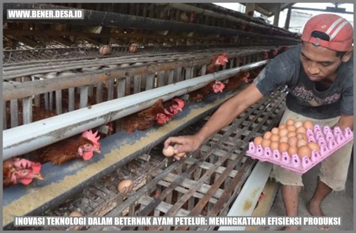 Inovasi Teknologi dalam Beternak Ayam Petelur: Meningkatkan Efisiensi ... Ternak ayam petelur di Lamala, Banggai
