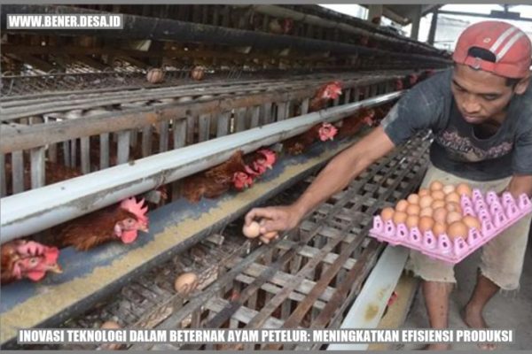 Ternak ayam petelur di Bonggo, Kab. Sarmi