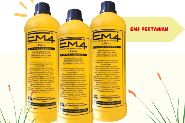 Em4 peternakan ayam di Rao Selatan, Kabupaten Pasaman