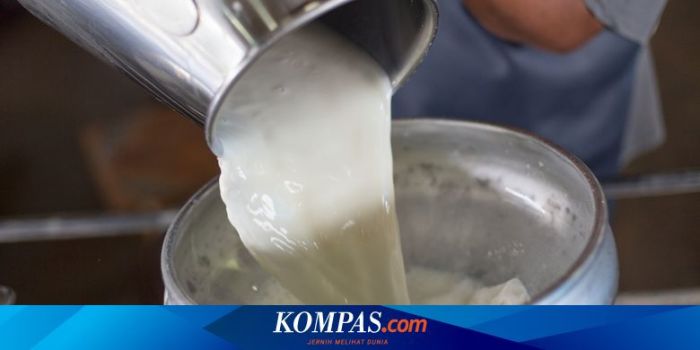 Susu kambing di Gayam, Sumenep