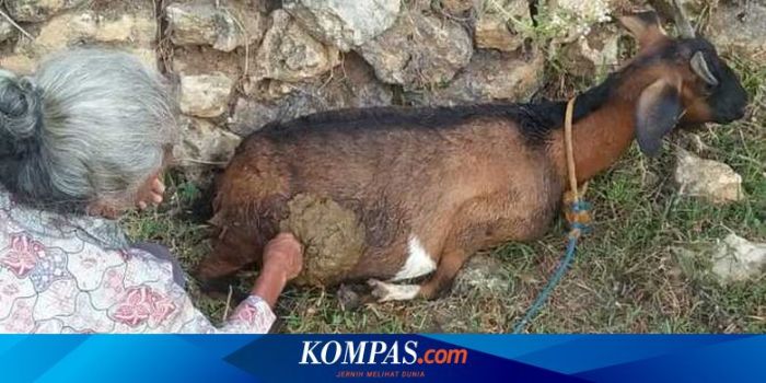 Daging kambing di Giritontro, Wonogiri