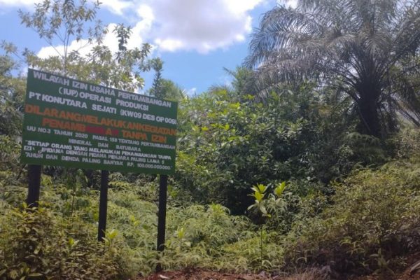 Daun penggemuk ayam di Langgikima, Konawe Utara