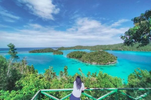Daun penggemuk ayam di Bokan Kepulauan, Banggai Laut