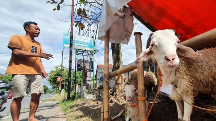 Daging Kambing Masak Pasamah, Masakan Orang Lama Tetap Disukai Ramai Daging kambing di Tegalrejo, Kota Yogyakarta